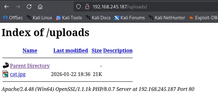 image-20260203193719876