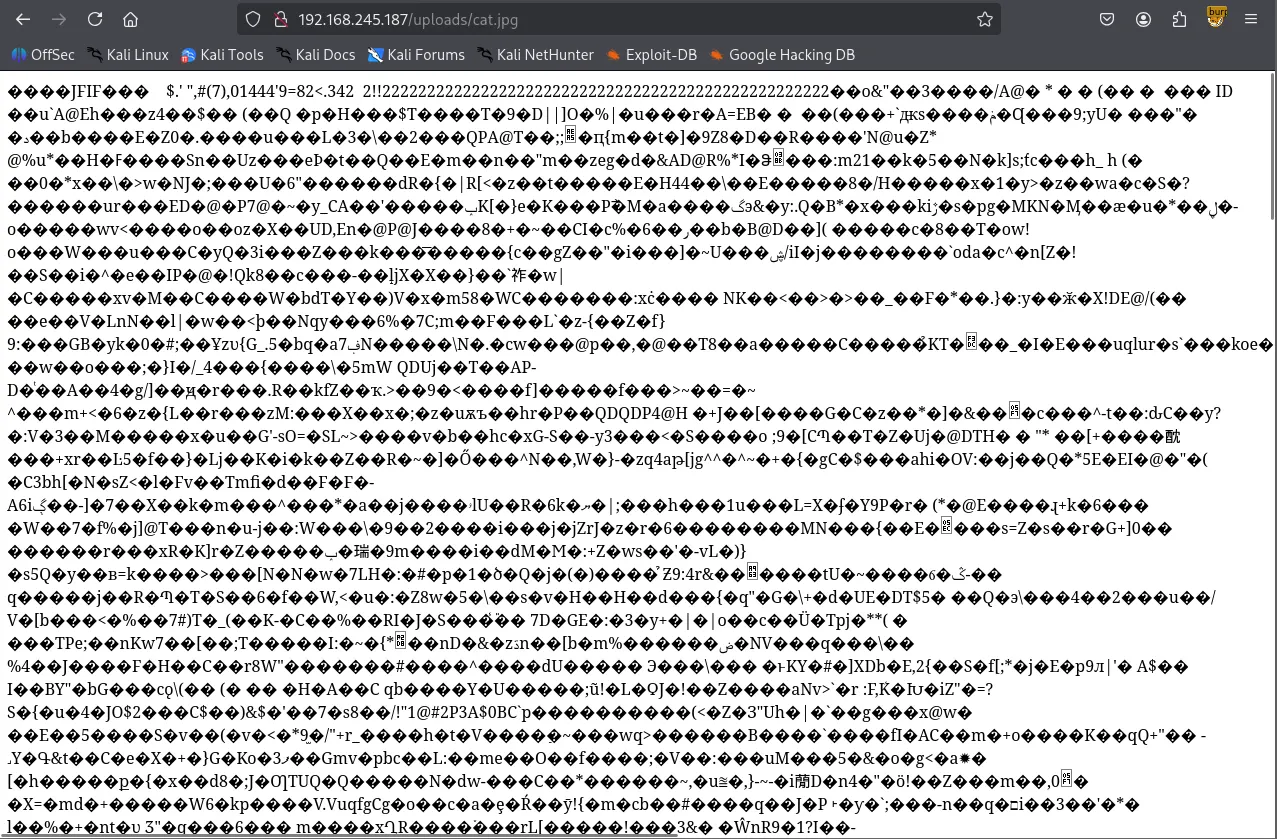 image-20260203193725407