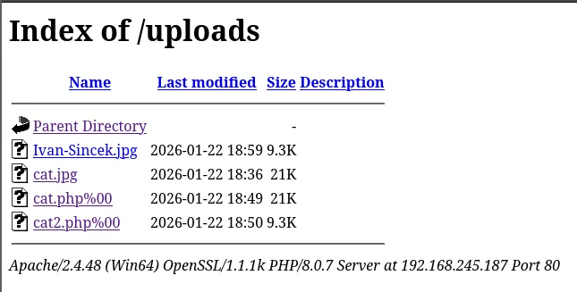 image-20260203193739420