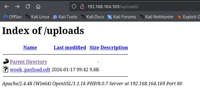 image-20260129105510851