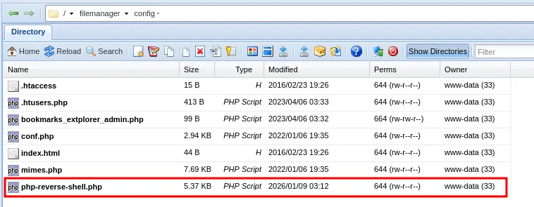 image-20260128094937025