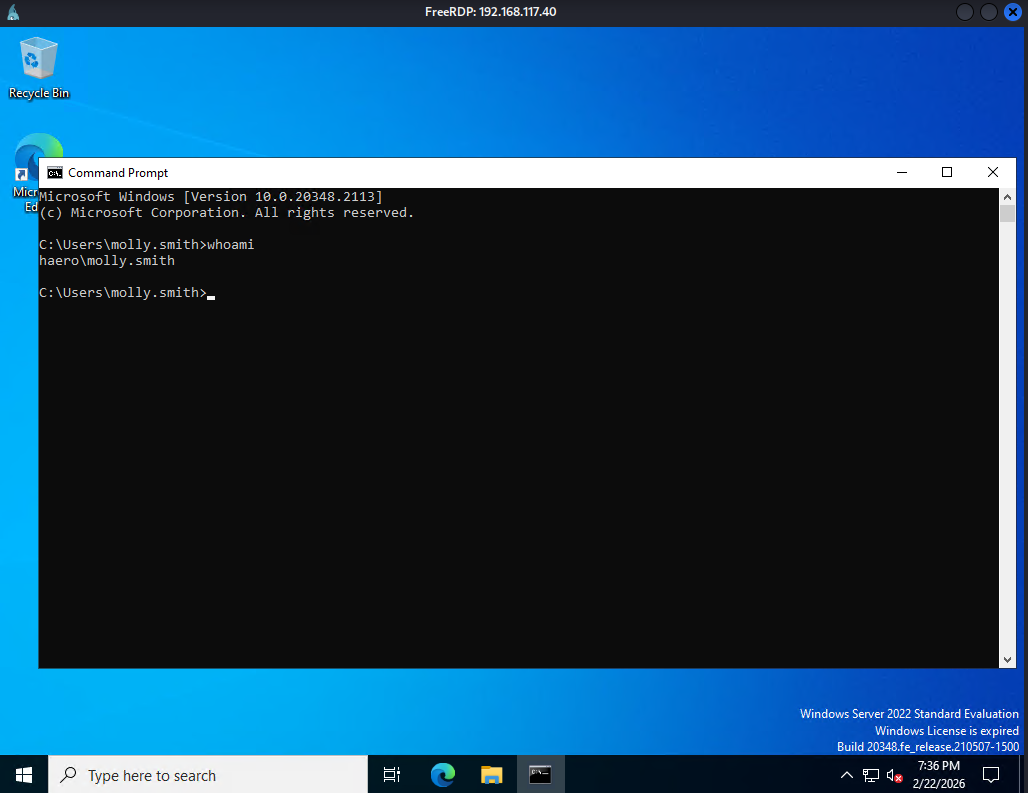 image-20260224191433516