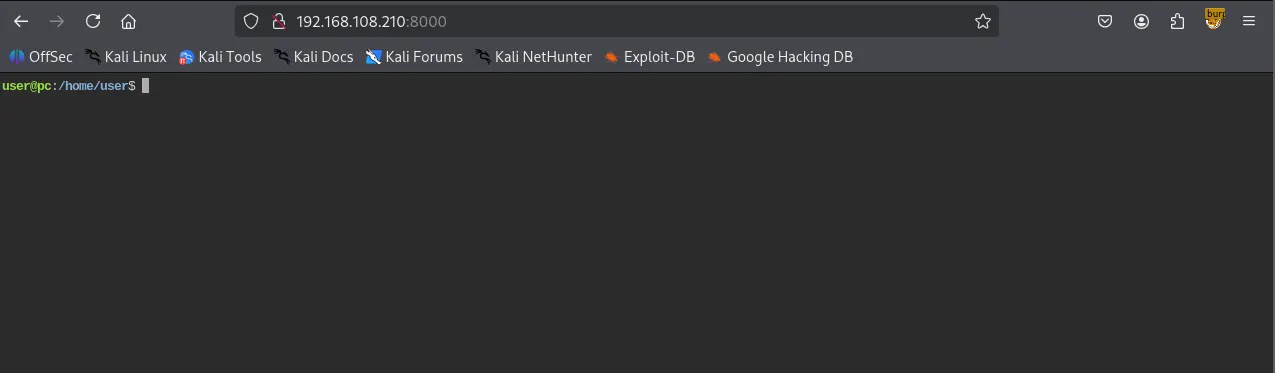 image-20260128203838951