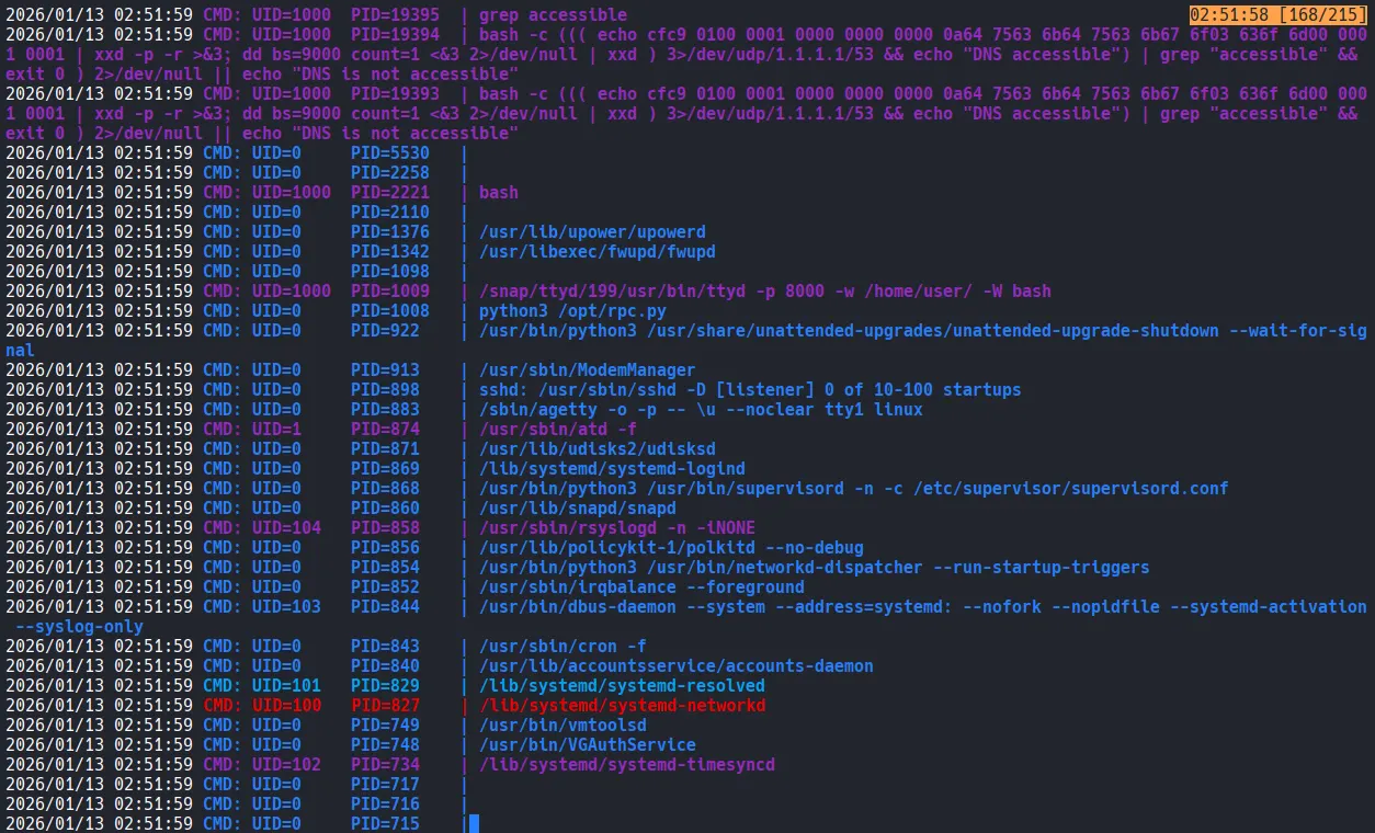 image-20260128203848323