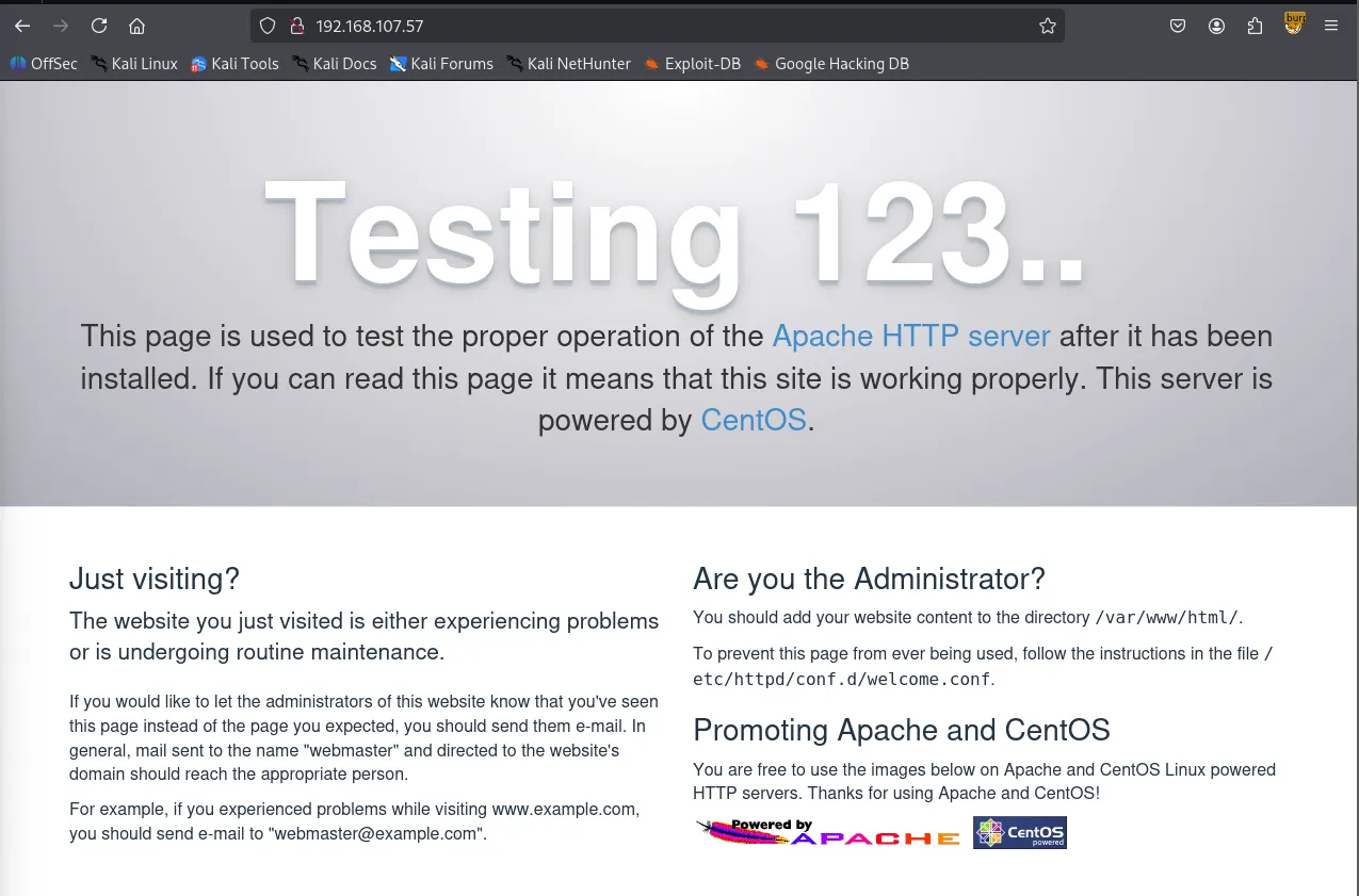 image-20260210220803104