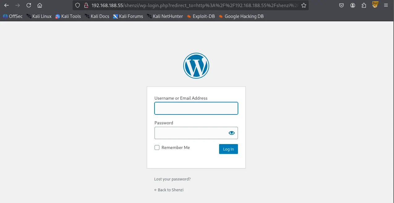 image-20260212215631378