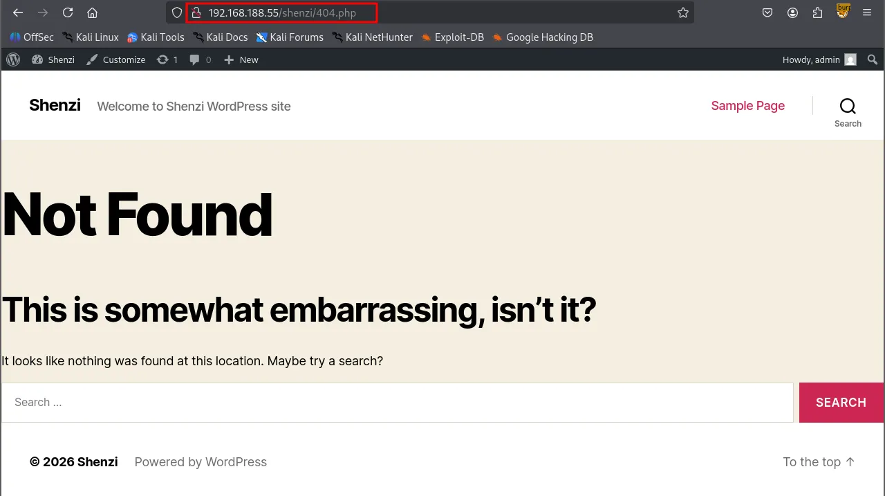 image-20260212215647384