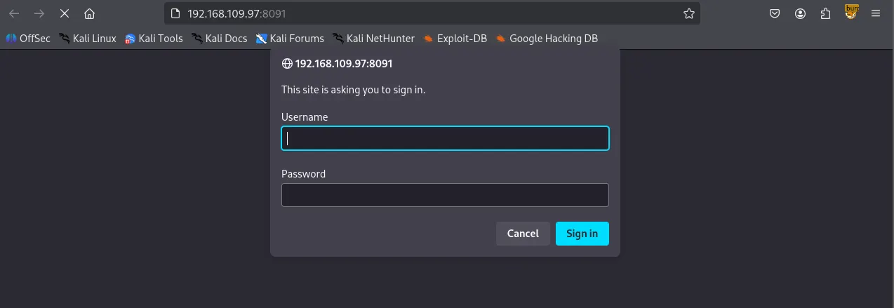 image-20260128123329240