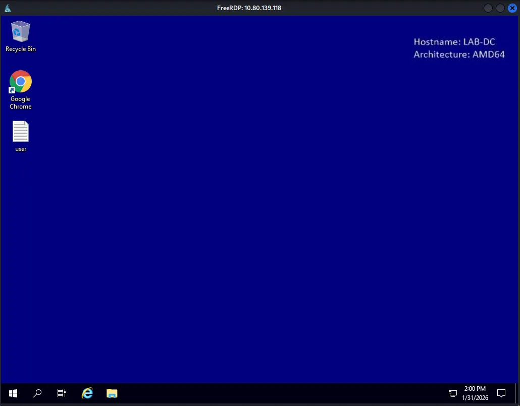 image-20260201013717793